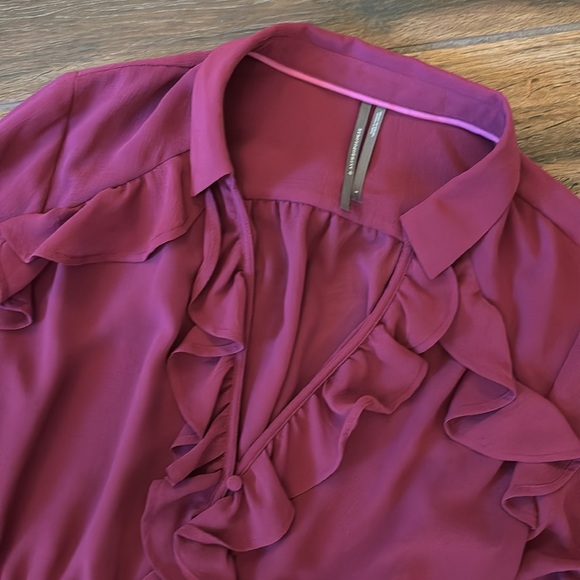 EUC Anthropologie Sheer V-Neck Blouse - Picture 3 of 7